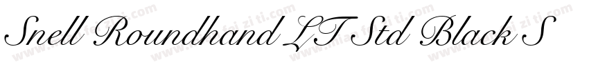 Snell Roundhand LT Std Black Script字体转换